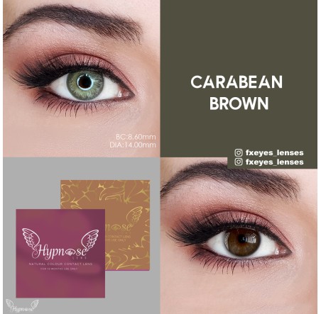 Hypnose Caribbean Brown (Kahverengi)  (1 Yıllık)