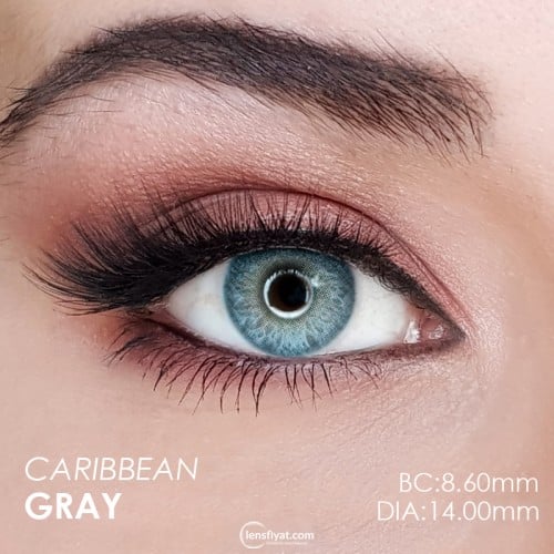 Hypnose Caribbean Gray (Gri)  (1 Yıllık)