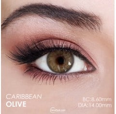 Hypnose Caribbean Olive (Yıllık Lens)