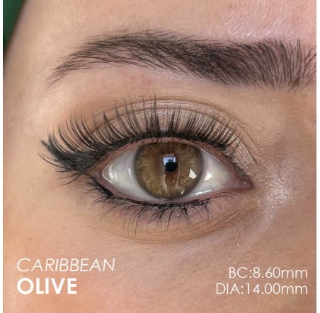 Hypnose Caribbean Olive (Yıllık Lens)