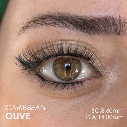 Hypnose Caribbean Olive (Yıllık Lens)
