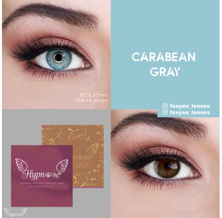 Hypnose Caribbean Gray (Gri)  (1 Yıllık)