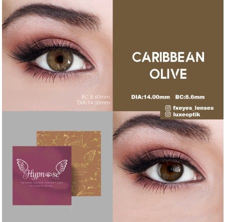 Hypnose Caribbean Olive (Yıllık Lens)