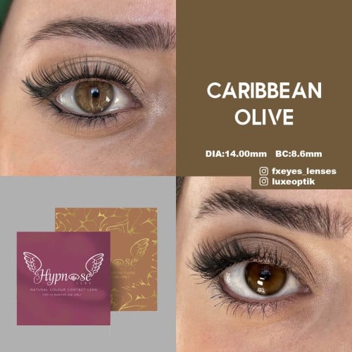Hypnose Caribbean Olive (Yıllık Lens)