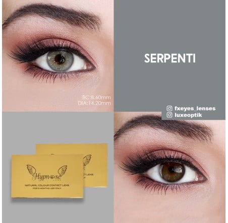 Hypnose Gri Renk Serpenti (3 Aylık)