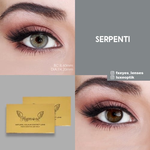 Hypnose Gri Renk Serpenti (3 Aylık)