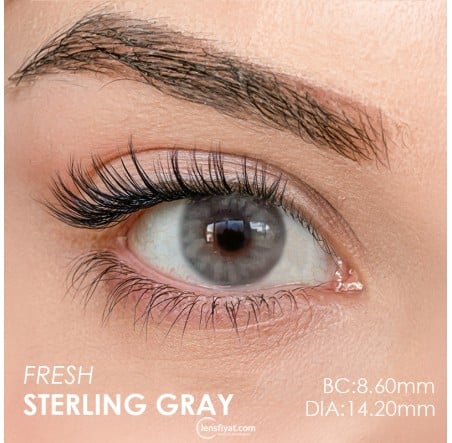 Iconic Fresh Sterling Gray Renkli Lens (3 Aylık)