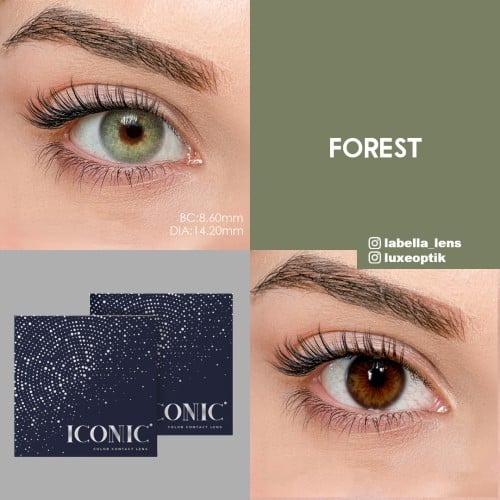 Iconic Yeşil Renk Forest (3 Aylık)