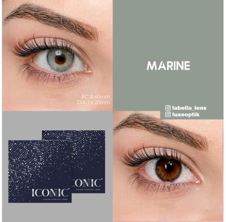 Iconic Yeşil Renk Marin (3 Aylık)