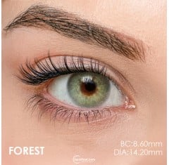 Iconic Yeşil Renk Forest (3 Aylık)