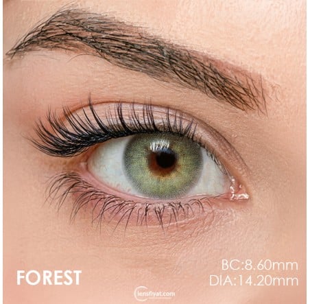 Iconic Renkli Lens Hareli (3 Aylık)
