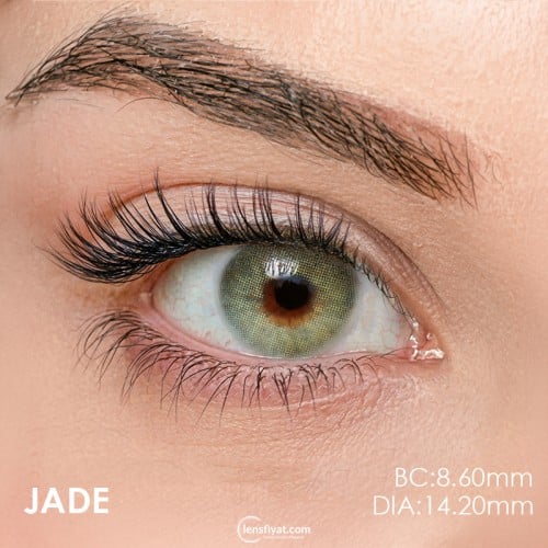 Iconic Yeşil Renk Jade (3 Aylık)