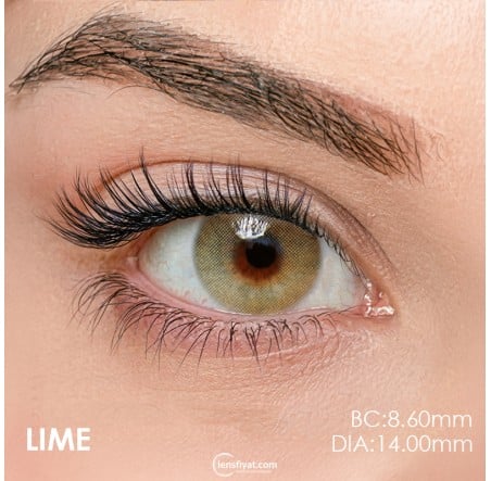 Iconic Yeşil Renk Lime (3 Aylık)