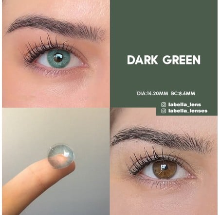 Labella Yeşil Renk Exclusive Dark Green (3 Aylık)