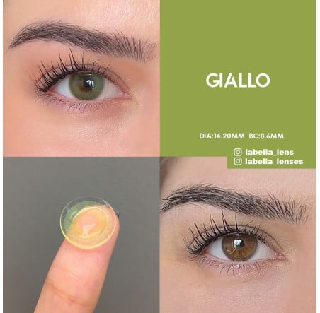 Labella Yeşil Renk Giallo (3 Aylık)