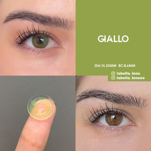 Labella Yeşil Renk Giallo (3 Aylık)