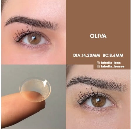 Labella Ela Renk Oliva (1 Yıllık)