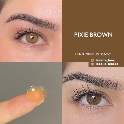 Labella Ela Renk Pixie Brown (1 Yıllık)