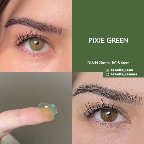 Labella Yeşil Renk Pixie Green (1 Yıllık)