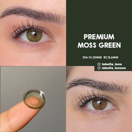 Labella Yeşil Renk Moss Green (3 Aylık)