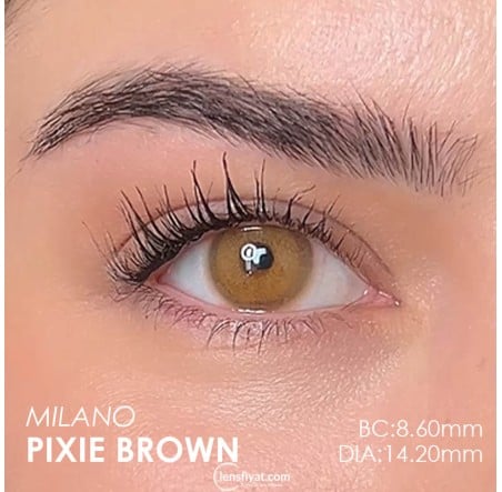 Labella Ela Renk Pixie Brown (1 Yıllık)