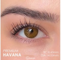 Labella Ela Renk Premium Havana (3 Aylık)
