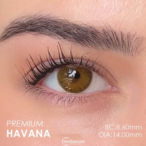 Labella Ela Renk Premium Havana (3 Aylık)