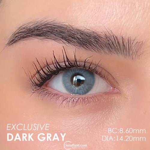 Labella Gri Renk Exclusive Dark Gray (3 Aylık)