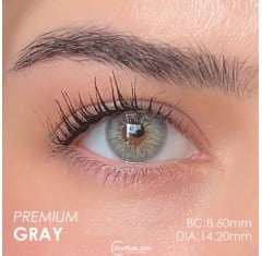 Labella Gri Renk Premium Gray (1 Yıllık)