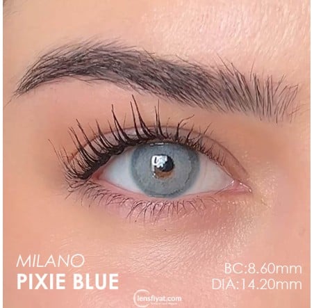 Labella Mavi Renk Pixie Blue (3 Aylık)