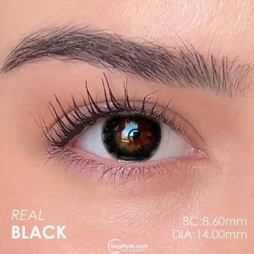 Labella Siyah Renk Black (3 Aylık)