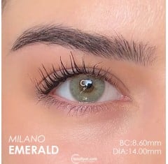 Labella Yeşil Renk Emerald (1 Yıllık)