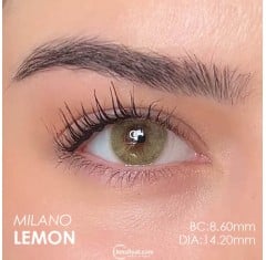 Labella Yeşil Renk Lemon (3 Aylık)