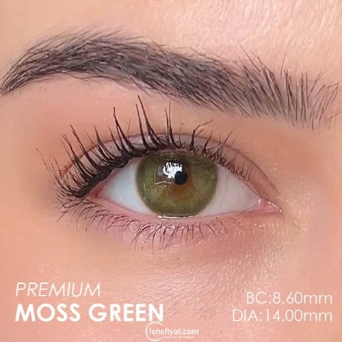Labella Yeşil Renk Moss Green (Yıllık)