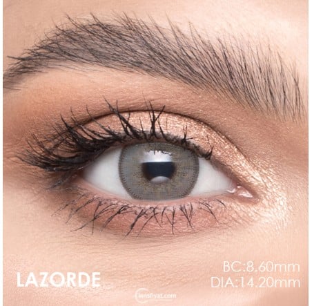 Lazord Lazorde Gri Renk (1 Yıllık)