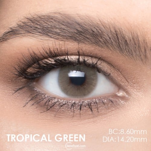 Lazord Tropical Green Yeşil Renk (1 Yıllık)