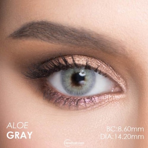 Le Reve Aloe Gray Gri Renk (1 Yıllık)