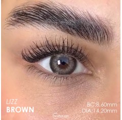 Lezza Lizz Brown (6 Aylık)
