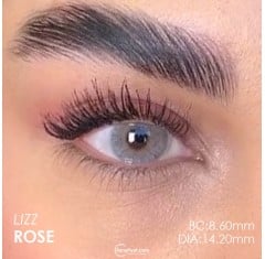 Lezza Lizz Mavi-Pembe Renk Rose (6 Aylık)