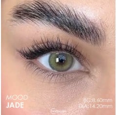 Lezza Mood Jade Yeşil Renk (6 Aylık)