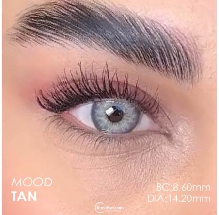 2 Kutu Lezza 1 Yıllık Renkli Lens + Solüsyon · 16
