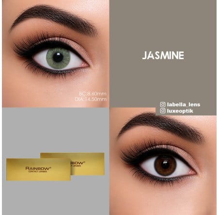 Rainbow Lovely Gri Renk Jasmine (1 Yıllık)