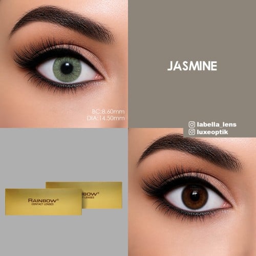 Rainbow Lovely Gri Renk Jasmine (1 Yıllık)