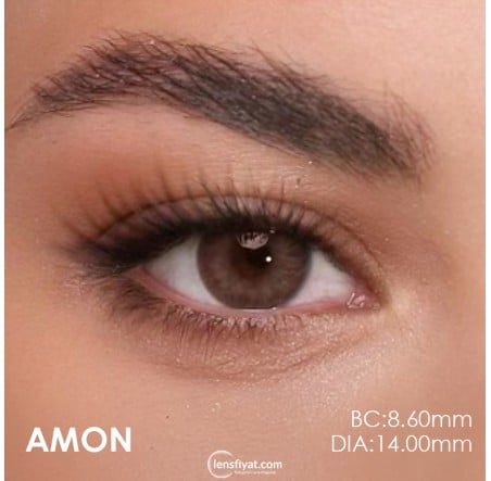 Rocio Renkli Hareli Lens (3 Aylık)