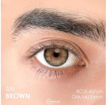 Urban Layer Siri Brown (1 Yıllık) görseli