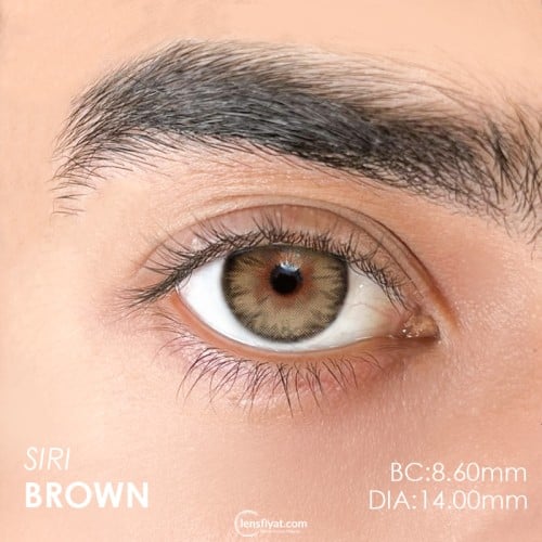Urban Layer Siri Brown (1 Yıllık)
