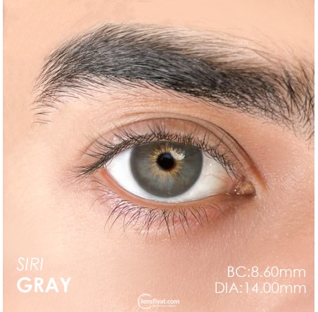 Urban Layer Siri Gray (1 Yıllık) görseli