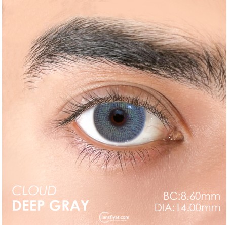 Urban Layer Cloud Deep Gray (1 Yıllık) görseli