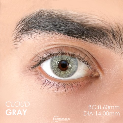 Urban Layer Cloud Gray (1 Yıllık)