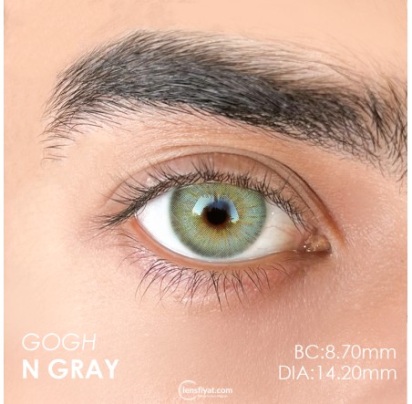 Urban Layer Gogh N Gray (1 Yıllık) görseli
